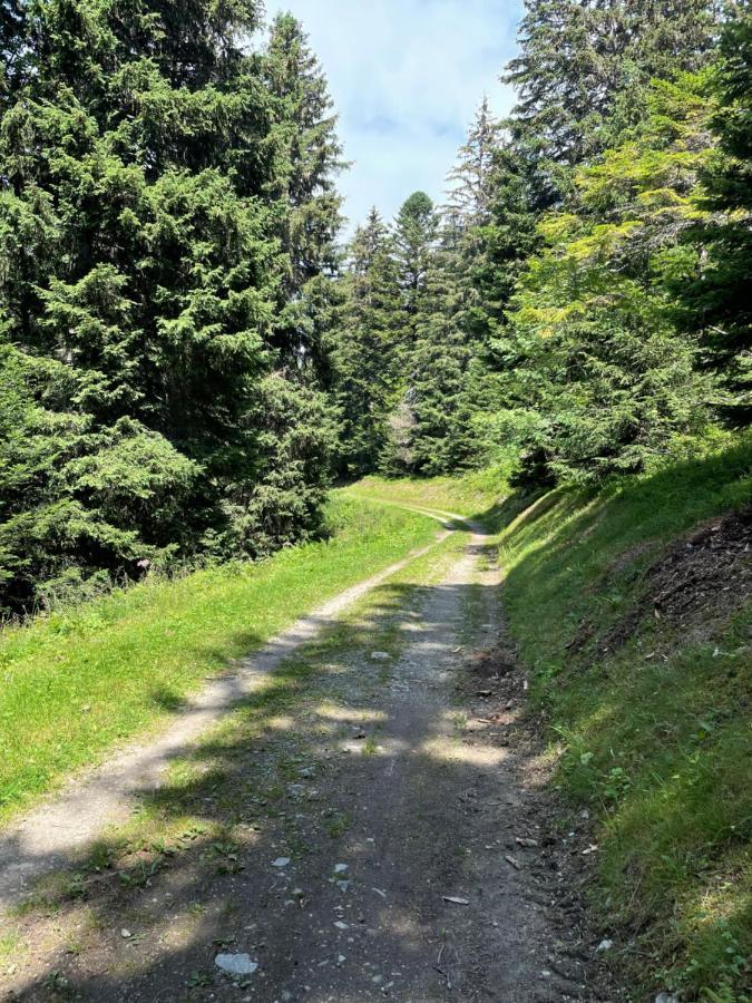 Charmant Appartement Confortable Pour 6 Personnes 40M2 Pied Pistes, Piscine, Wifi, Parking Chamrousse Luaran gambar